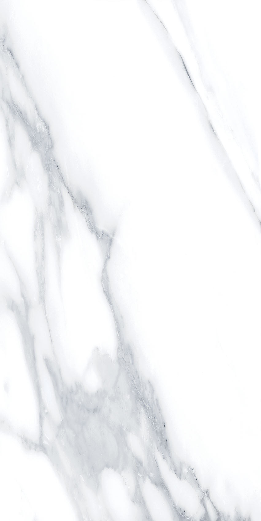 4SF-310 Carrara Marble 60x120 8 Faces