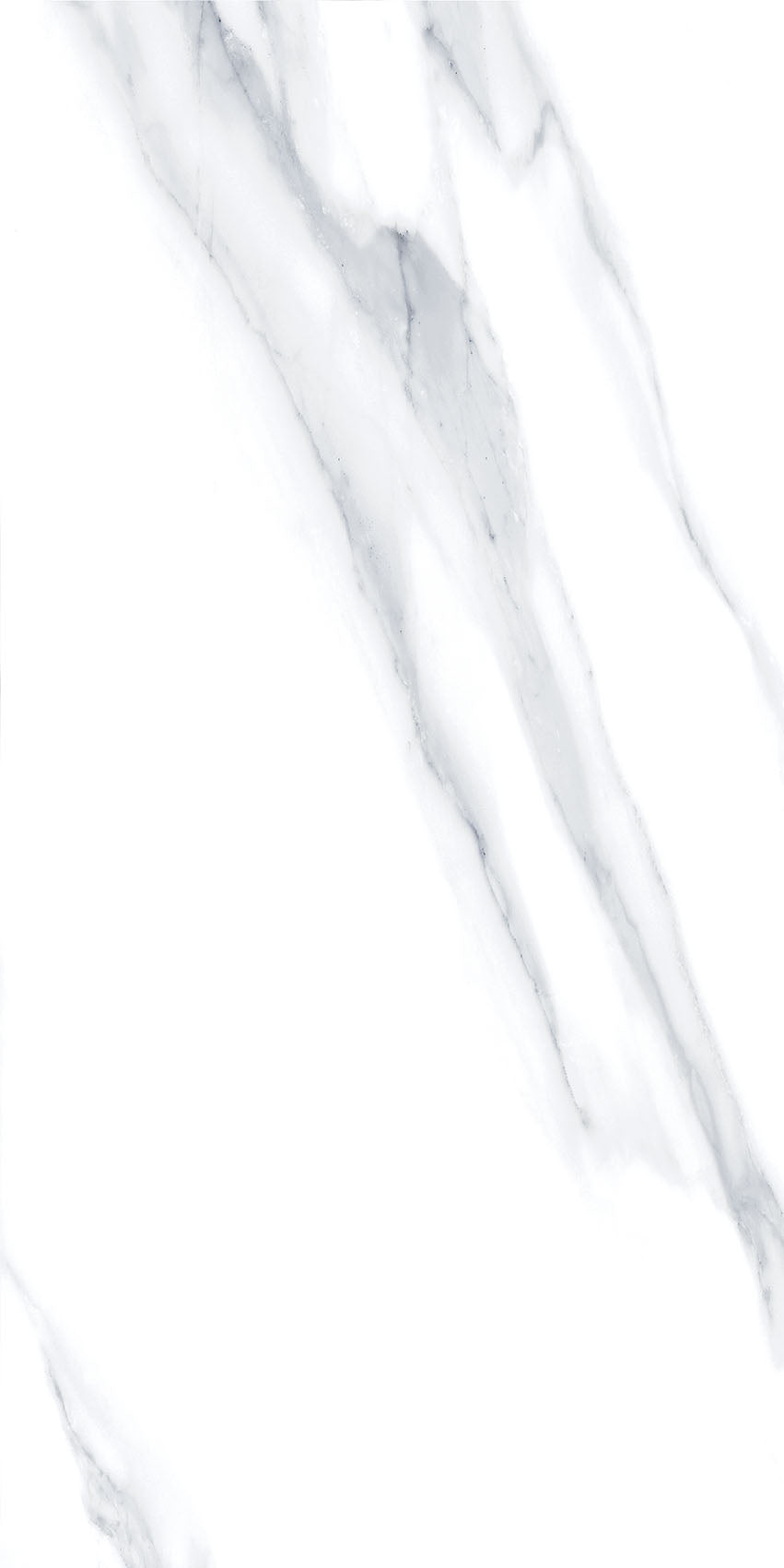 4SF-310 Carrara Marble 60x120 8 Faces