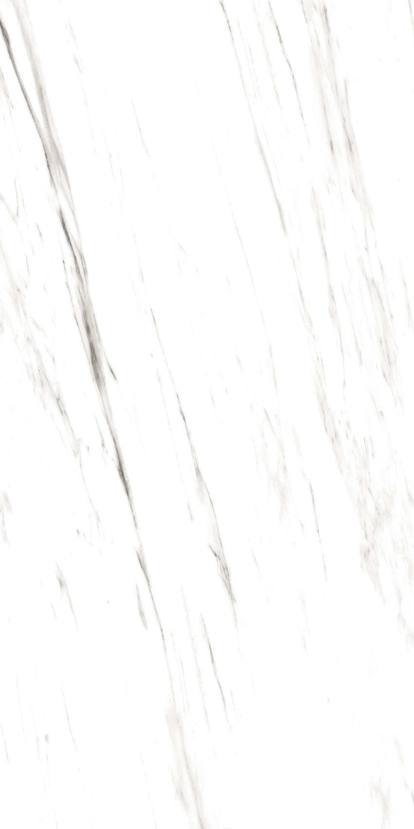4SF-311 Carrara Marble 60x120 8 Faces
