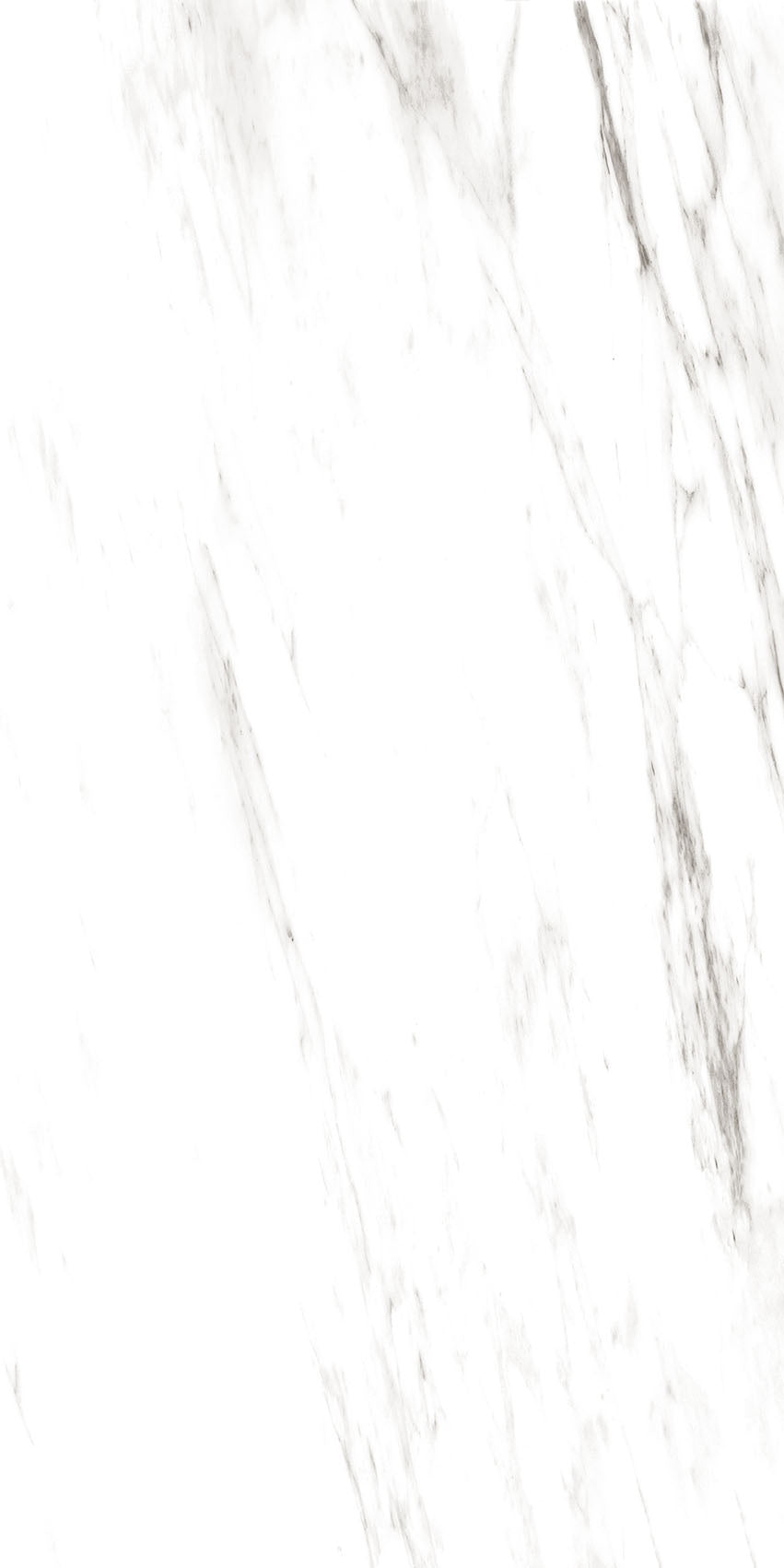 4SF-311 Carrara Marble 60x120 8 Faces