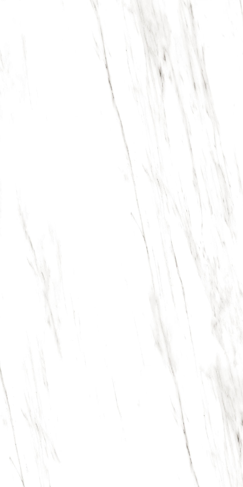 4SF-311 Carrara Marble 60x120 8 Faces