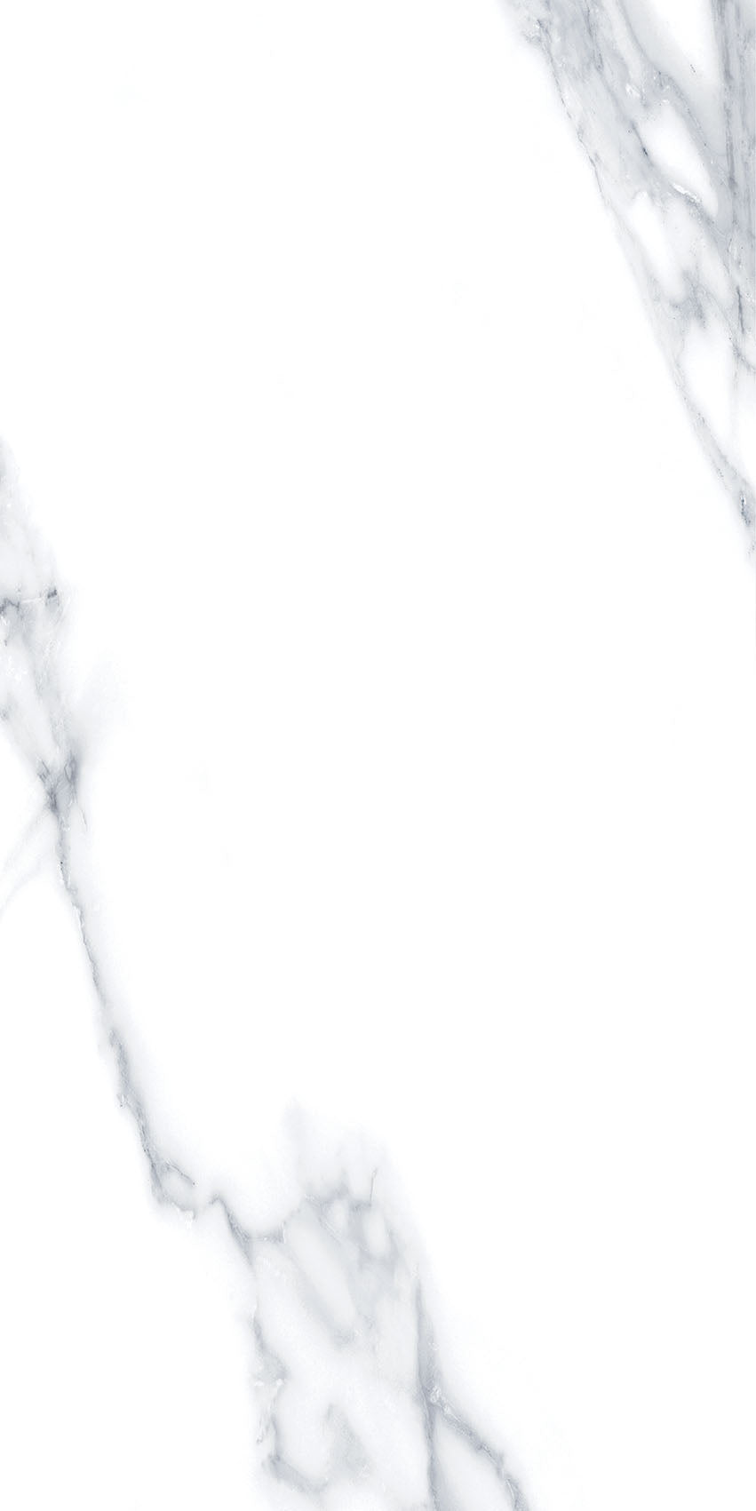 4SF-310 Carrara Marble 60x120 8 Faces
