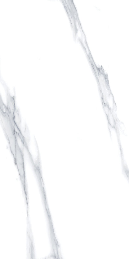 4SF-310 Carrara Marble 60x120 8 Faces