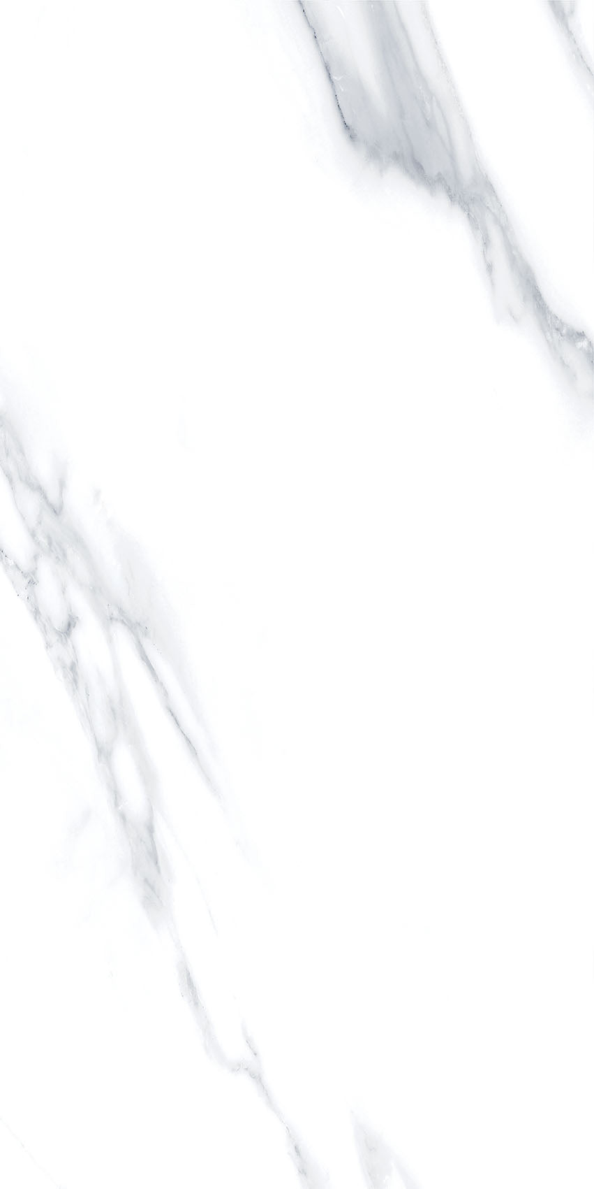 4SF-310 Carrara Marble 60x120 8 Faces