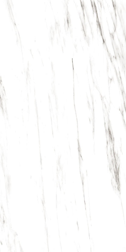 4SF-311 Carrara Marble 60x120 8 Faces