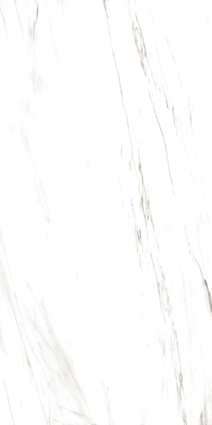 4SF-311 Carrara Marble 60x120 8 Faces